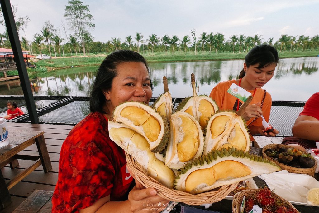 ทุเรียนสวนคุณยาย