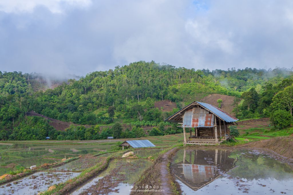 บ้านเมืองคอง อ้ายด่องโฮมสเตย์