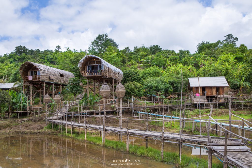 บ้านนอก ฮอกควาย บ้านเมืองคอง