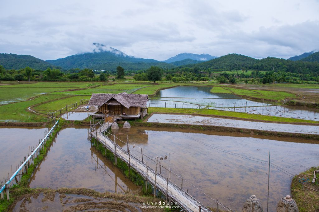 บ้านนอก ฮอกควาย บ้านเมืองคอง